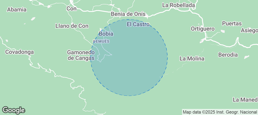 Discover Onís Airbnb Analytics